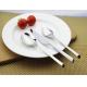 NC 690 high quality Stainless Steel Cutlery Set   Flatware Set  Whole Set of Cutlery