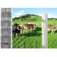 Protection Electro Galvanized Steel Cattle Fence , Deer / Grassland Wire Fence