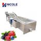 SUS 304 Bubble Fruit Vegetable Cleaning Machine Multifunctional CE Approved