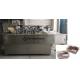 1800BPH Food Box Sealing Machine , VAC60 PLC Vacuum Nitrogen Sealer Machines