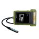 RKU10 Veterinary Wireless Ultrasound Scanner Diagnostic Instruments B Mode