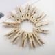 Windproof Photo Wooden Cloth Hanging Clips Household Fixed Hanger Log Color