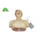 Human Body Medical Teaching Models for Cardiopulmonary Resuscitation Practices