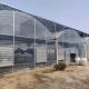 Polyethylene Film Multi Span Greenhouse Agricultural Commercial Industrial