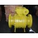 2500lb Double Block Trunnion Ball Valve for 16 Inch Size and Harsh Environments
