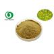 Pharmaceutical Grade 20/1 Brassica Rapa Extract Powder