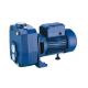 AC Electric Submersible Deep Well Water Pump For Agricultural