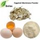 10/1 Natural Eggshell Membrane Powder For Cosmetic Industry