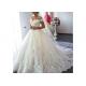 Sexy Sweetheart Ball Gown Wedding Dress Long Tail Ropes Back Style