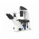 Biological 40X Inverted Optical Microscope WF10X/22mm Trinocular
