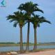 Fiberglass Trunk Artificial Coconut Tree For Decoration , Custom Fake Palm Trees