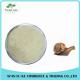 Cosmetic Grade Skin Care Product Snail Extract Powder