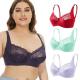                  Floral Big Size Ladies Lace Bra Steel Ring Comfortable Gather Thin Cup Full Cup 38 Bra Size Plus Size Women Lace Bra             