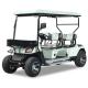 2 Rows 4 Seater Mini Golf Cart Steel Frame With Front Basket And Off-Road Tires Max Speed 30-40km/H