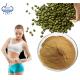 Weight Loss Green Coffee Bean Extract Chlorogenic Acid Powder