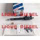 Bosch Injector 0445110614 / 55255406/ 54800156/ 1616320580,100% Genuine diesel injector 0 445 110 614