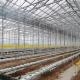 Agriculture Multi Span Automatic Venlo Glass Greenhouse For Vegetables Growing
