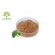 Sprouts Sulforaphane Broccoli Extract  Antioxidants Powder CAS 4478-93-7