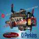 Fuel Injection Common Rail Pump For Delphi Perkins 9320A224G 2644H012 9320A224G 9320A225G 2644H001