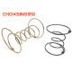 Galvanized 9 Gauge Furniture Coil Springs , Upholstery Strap Springs Edge Wire
