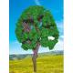 artificial MINI trees--model trees,model materials,architectural model trees,scale tree
