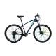 Affordable 11 Speed Mountain Bike with Fork Suspension and Hard Frame Non-rear Damper