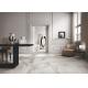Agate Light Grey Floor Tiles Wall Tiles , Luxury Marble Look Floor Tile