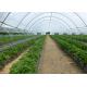100% New HDPE Agricultural Anti Insect Mesh Netting For Tomato And Cabbage Greenhouse