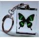 Crystal Transparent Butterfly Key Chain