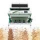 WENYao 4 Chutes 256 Channels Factory Price Brown Rice Color Sorting Machine