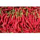 Fresh Chili Pepper Suace Fruit And Vegetable Processing Line Automatic