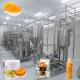 10T/D 304 Stainless Steel Mango Processing Line Aseptic Bag Package
