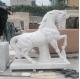 Marble Horse Statue White Stone Carvings Life Size Animal Sculptures Handcarved Outdoor Garden Decoration