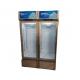 Double door refrigerator commercial freezer fresh drink freezer vertical beer freezer
