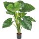 Height 250cm Artificial Potted Floor Plants Outdoor Elephant's Ear Plant