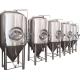 Electricity/Steam/Fire Heating Conical Fermentation Tank for Small Batch Brewing