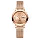 Antiscratch Women'S Water Resistant Analog Watches Bracelet Watches