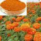 Marigold Extract 5% 20% 40% Zeaxanthin