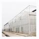 PE Multi Span Greenhouse for Tomato Growing and Agricultural in Tropical Climate