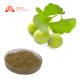 80mesh Antivirus Powder Gingko leaf Extract 24% Flavones Stock Available