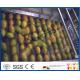 Mango Juice Factory Fruit Pulp Processing Plant , Mango Processing Equipment