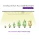 Commercial 9 Bars Dimmable LED Grow Lights Fixtures PPFD 1050W Hydroponics