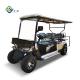 360kg Electric Hunting Nev Cart Limousine Golf Cart Buggy Lithium Battery