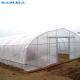 High Tunnel UV Resistant 100 150 200mic PE Plastic Sheeting Single-span Greenhouse