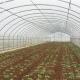 Film Cover Single-Span Agricultural Greenhouses for Agricultural Cultivation