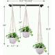 Wall Mounted Hanging Planters Bracket Powder Coated for a Chic and Functional Display