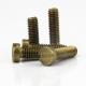 Brass Slotted Drive Fillister Head Machine Screws Brass Fillister Head Machine