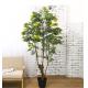 Garden Landscape Artificial Potted Floor Plants Cassia Flowering Tree