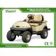 Battery Powered Utility Vehicles / Electric Utility Carts 350A USA Curties Controller