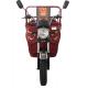 Pedal 1.0m*3.1m 110cc 3 Wheel Trike Moped
